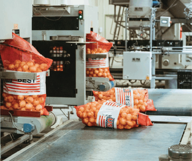 NNZ retail packaging